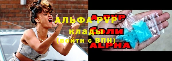 дмт Дмитров