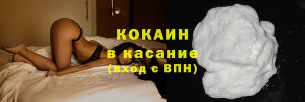 дмт Дмитров