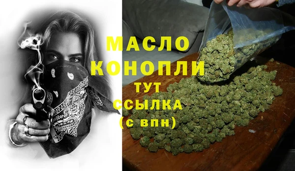 дмт Дмитров
