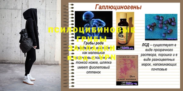 дмт Дмитров