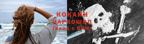 мдпв Ельня
