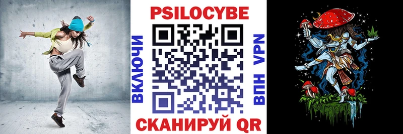 kraken tor  Каменногорск  Псилоцибиновые грибы мицелий 